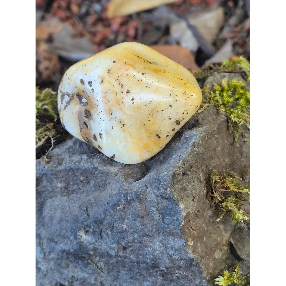 Handcrafted Rustic Olive Wood Oval Bowl w/ PNW Carnelian Agates & Yellow Jasper